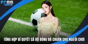 Tổng hợp bí quyết cá độ bóng đá