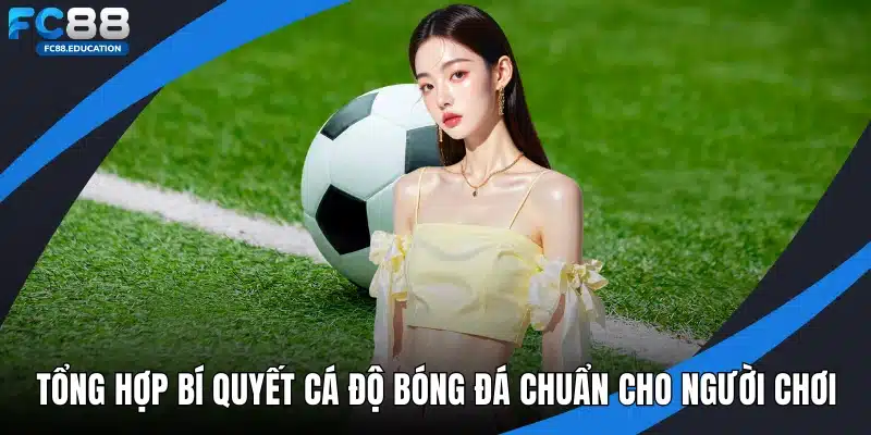 Tổng hợp bí quyết cá độ bóng đá