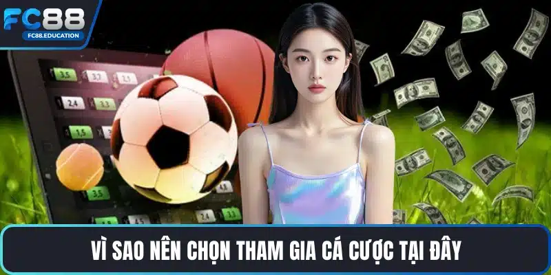 Vì sao nên chọn tham gia cá cược tại đây
